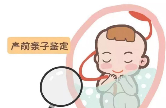 新乡怀孕13周如何做无创胎儿亲子鉴定,在新乡做无创孕期亲子鉴定价格